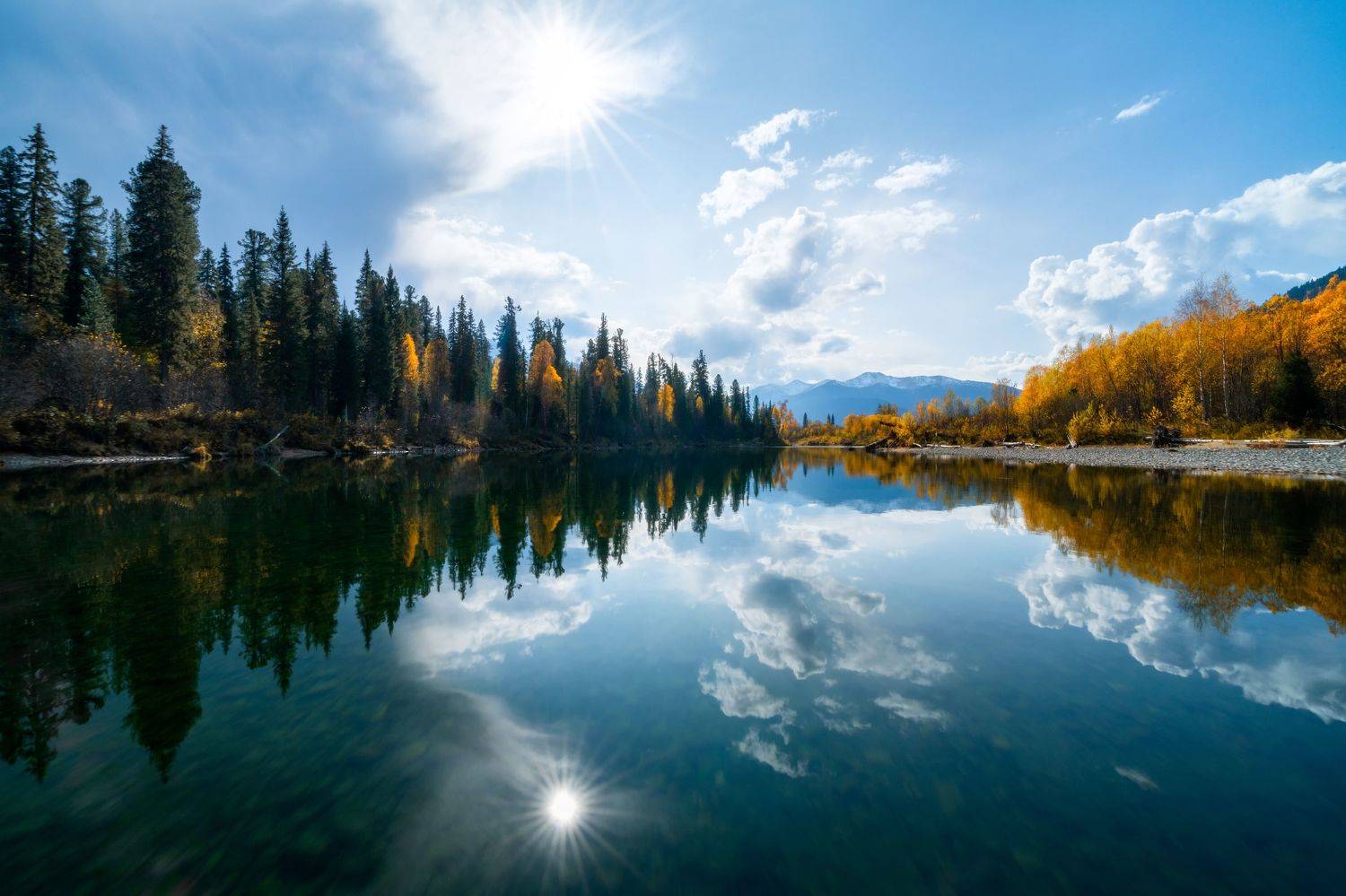 , Nikitin Alexander
