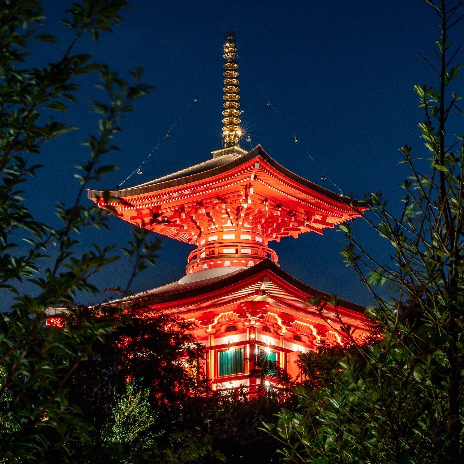 японский сад, краснодар, ночная съемка, Храмов Роман