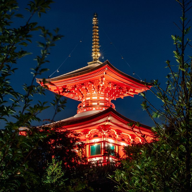 японский сад, краснодар, ночная съемка Пагода Тахото фото превью