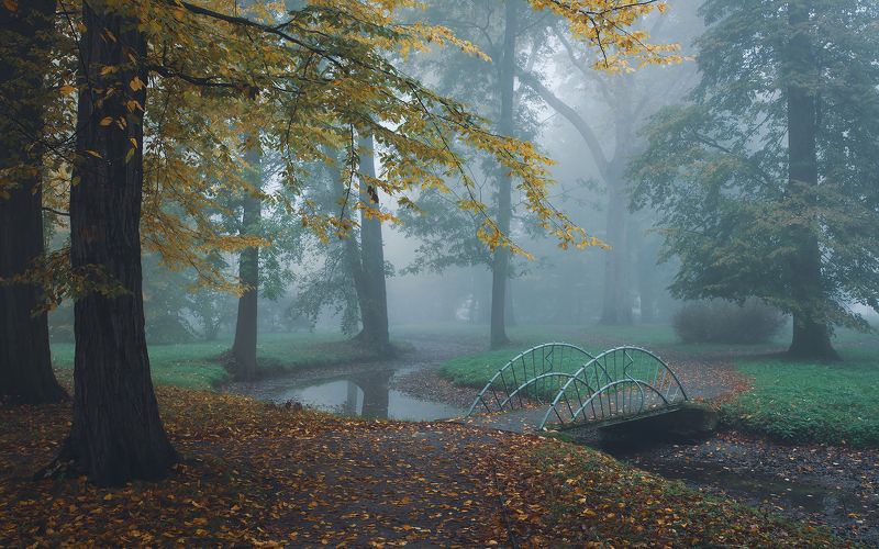 Autumn фото превью