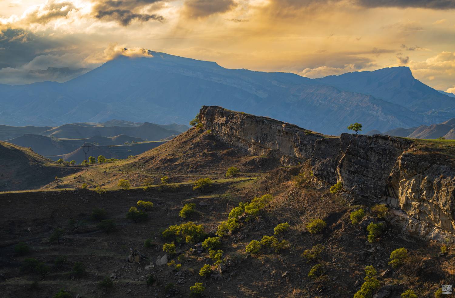 , Ковалев Дмитрий