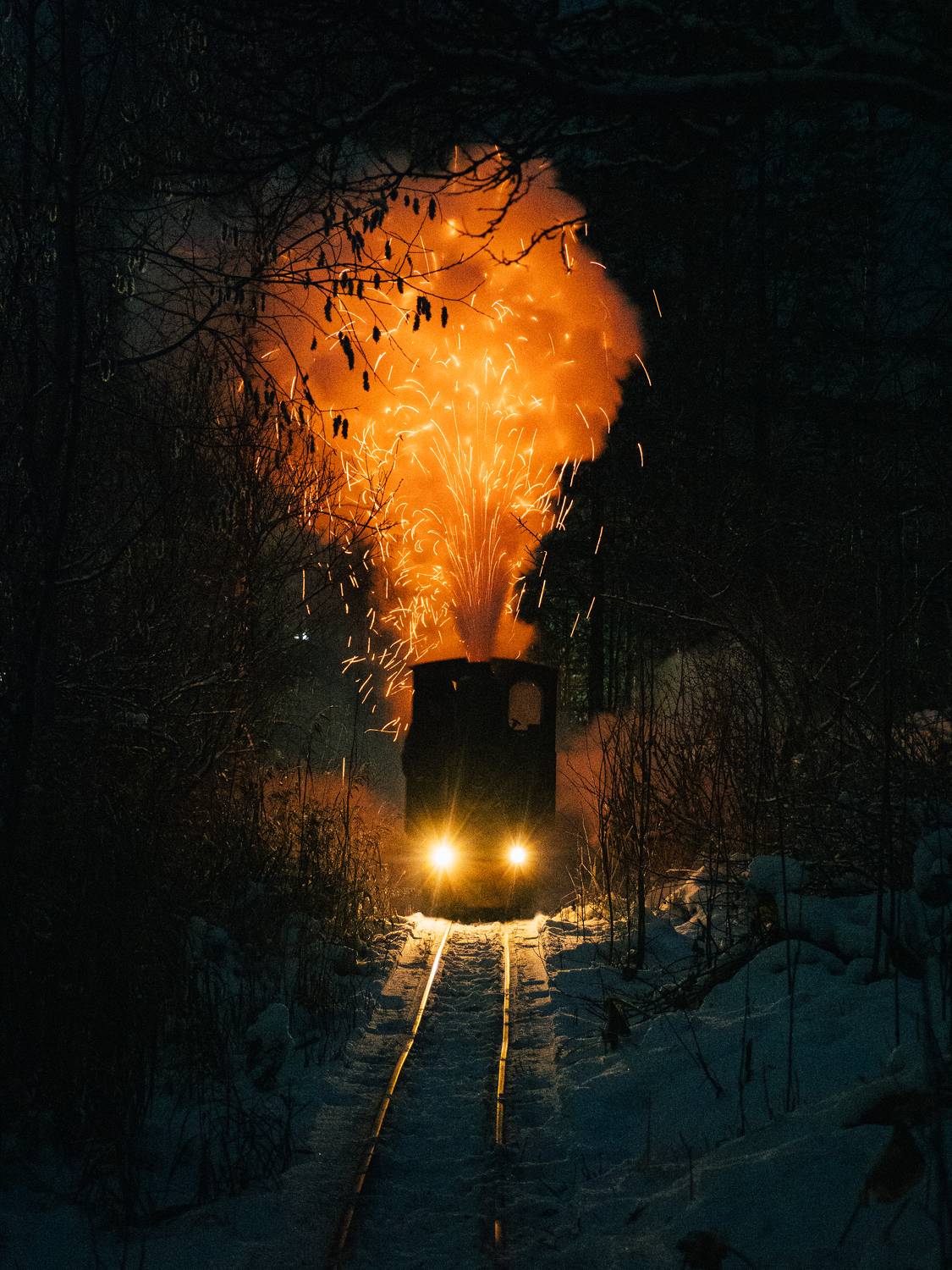 паровоз, огонь, пар, Щеголев Николай