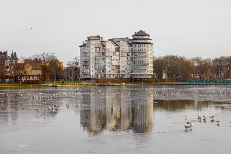 калининград, россия, озеро, фотография, архитектура, пейзаж, город, свирин вадим, вода, весна «Верхнее озеро» фото превью