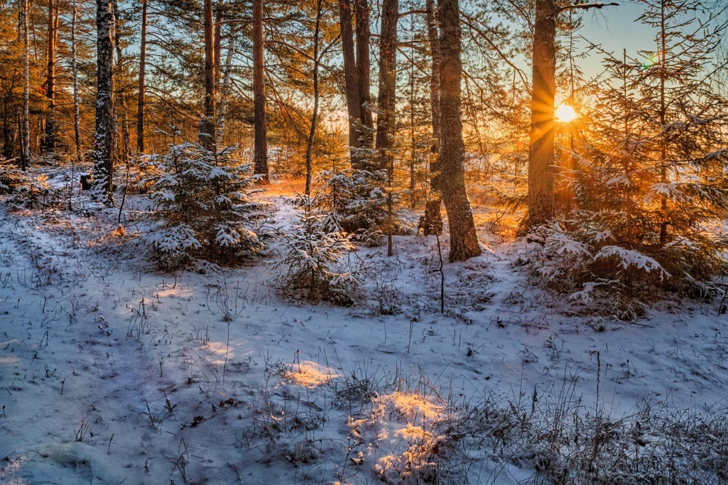 , Евгений Ерохин