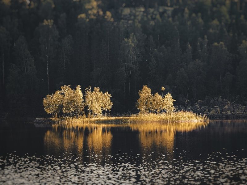 Золотой остров фото превью