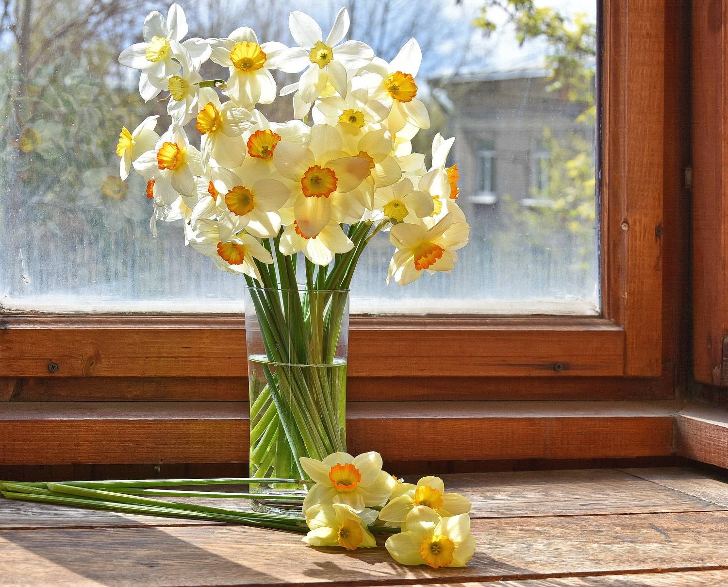 , Лидия Ушакова