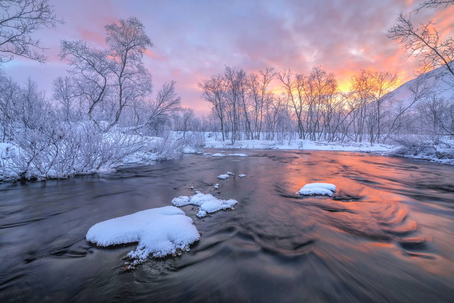 , Максим Евдокимов
