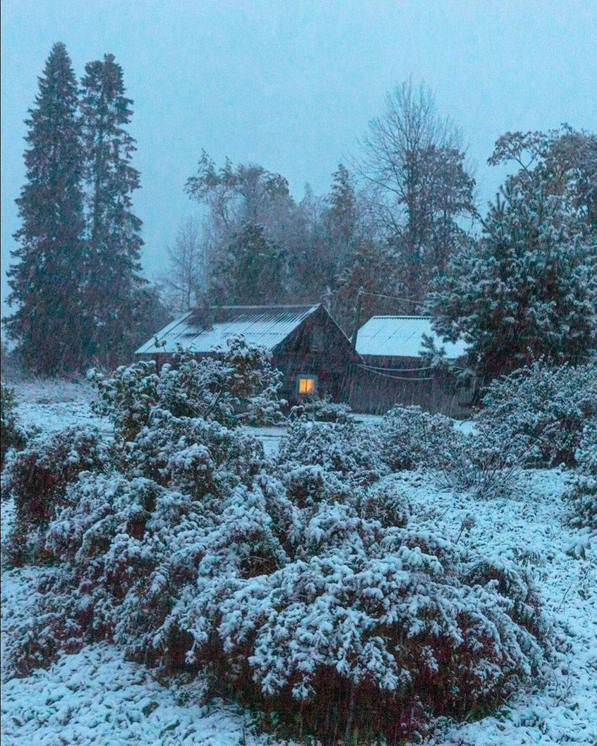 , Петр Косых