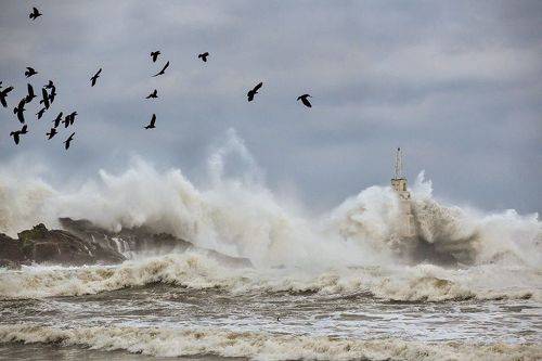 Storm