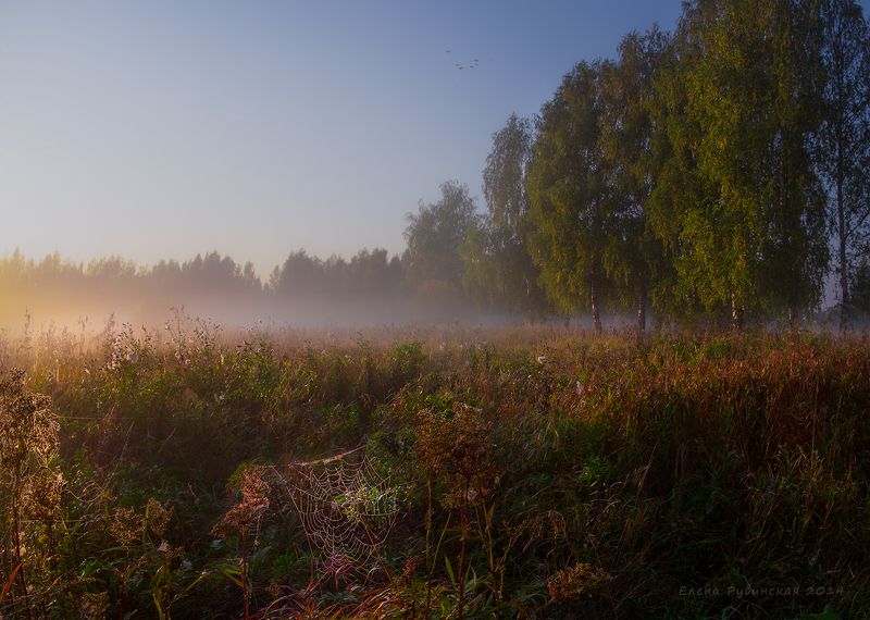 костромскаяобласть, костромская область Утро фото превью