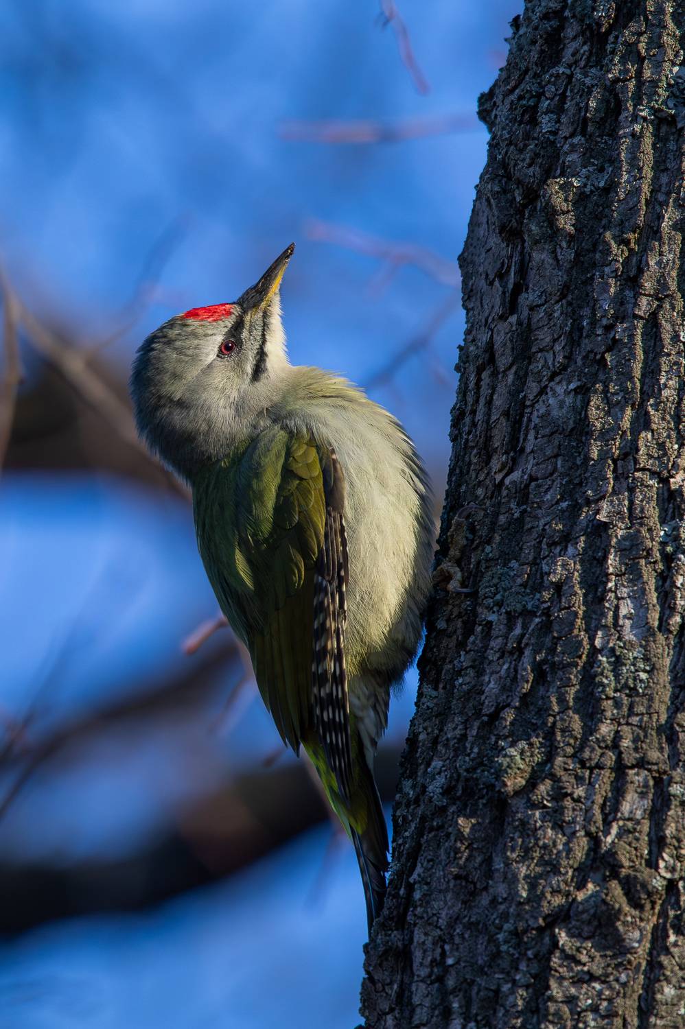 , Гильманов Артур