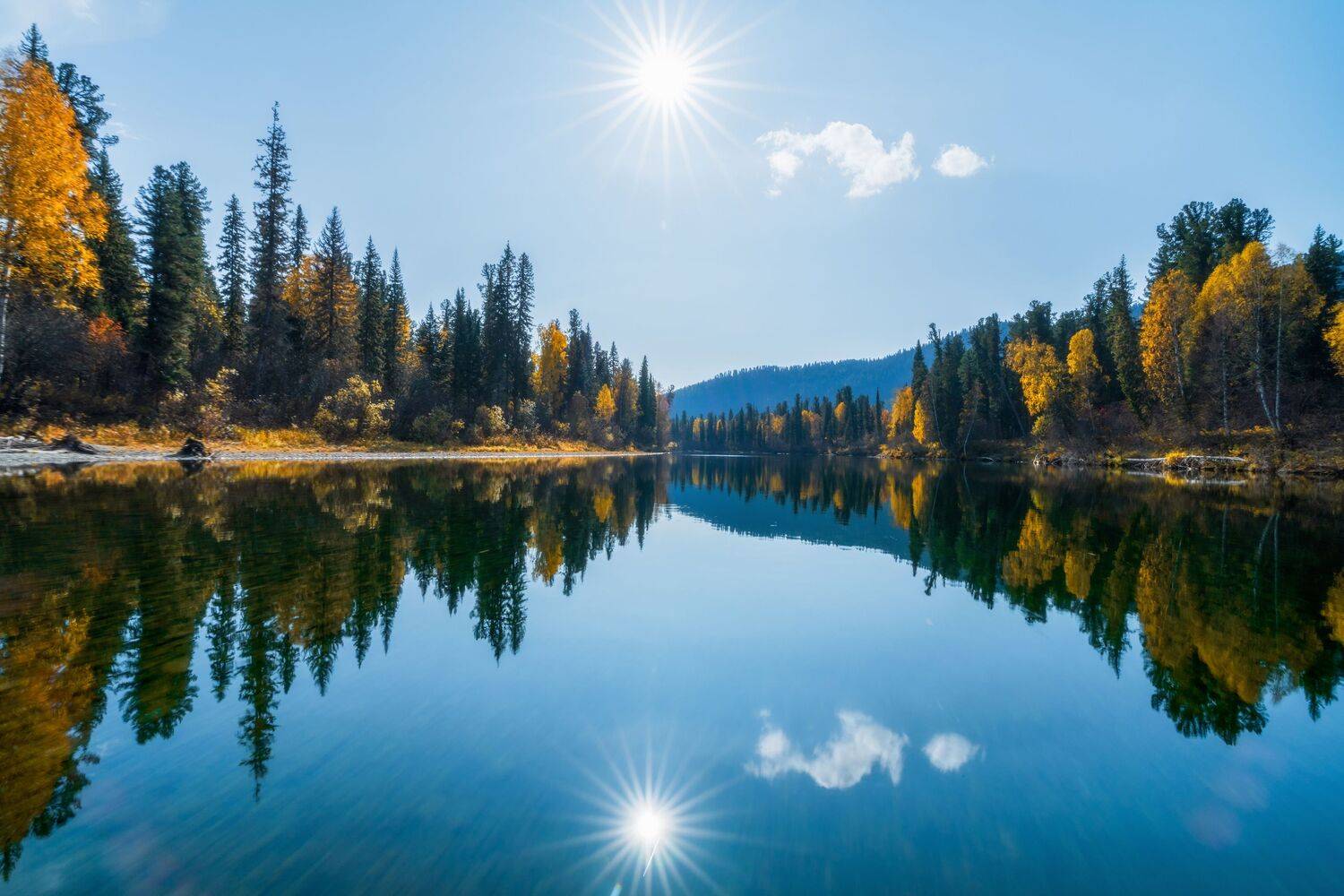 , Nikitin Alexander