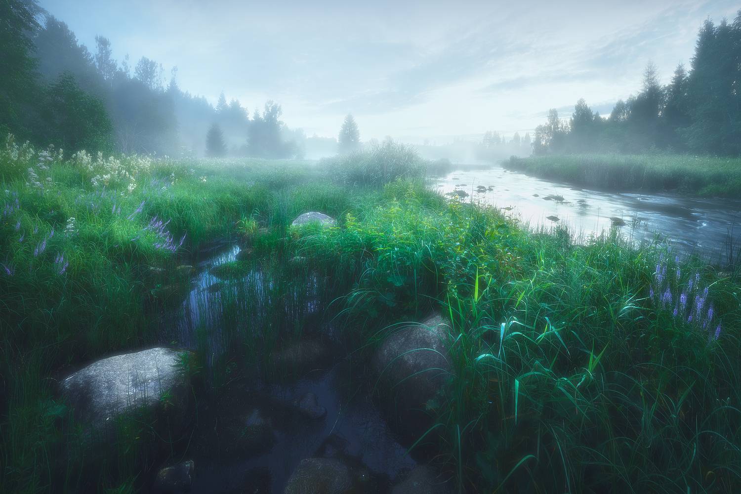 , Кононов Антон