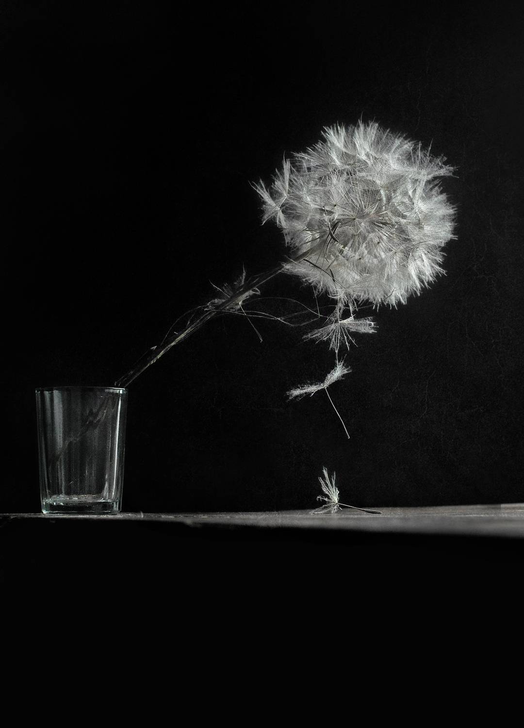 натюрморт, чёрно-белое, настроение, Буглак Инна