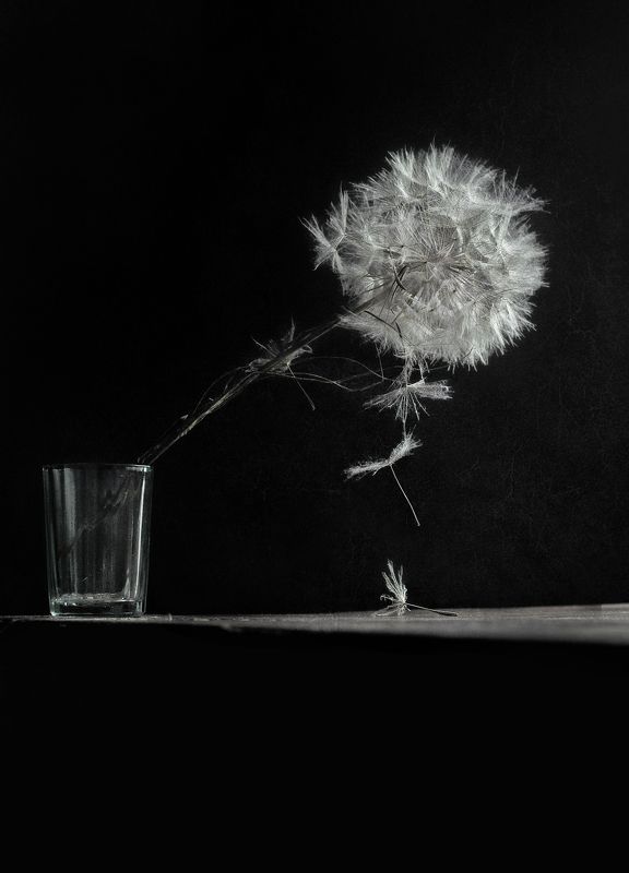 натюрморт, чёрно-белое, настроение Время фото превью