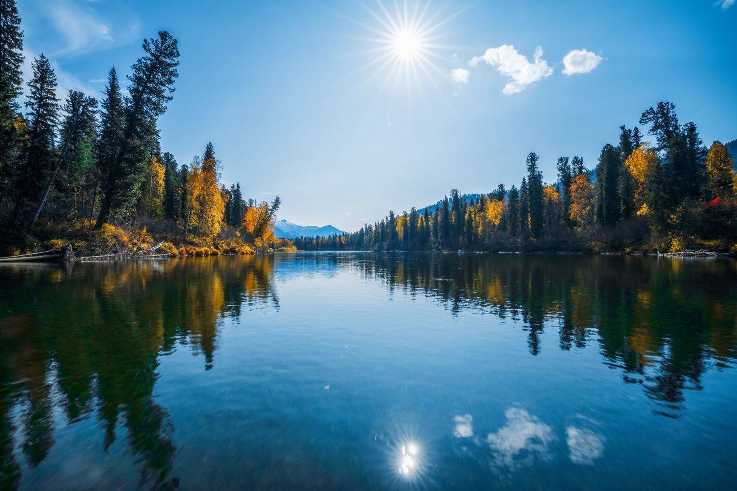 , Nikitin Alexander