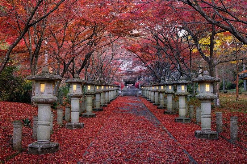 [ Autumn in Morning ] фото превью