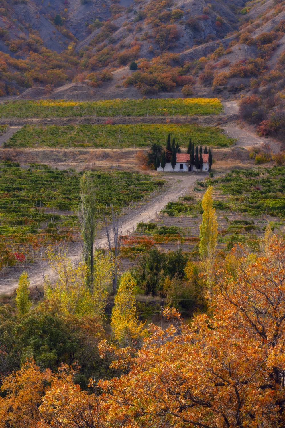 , Юлия Мальцева