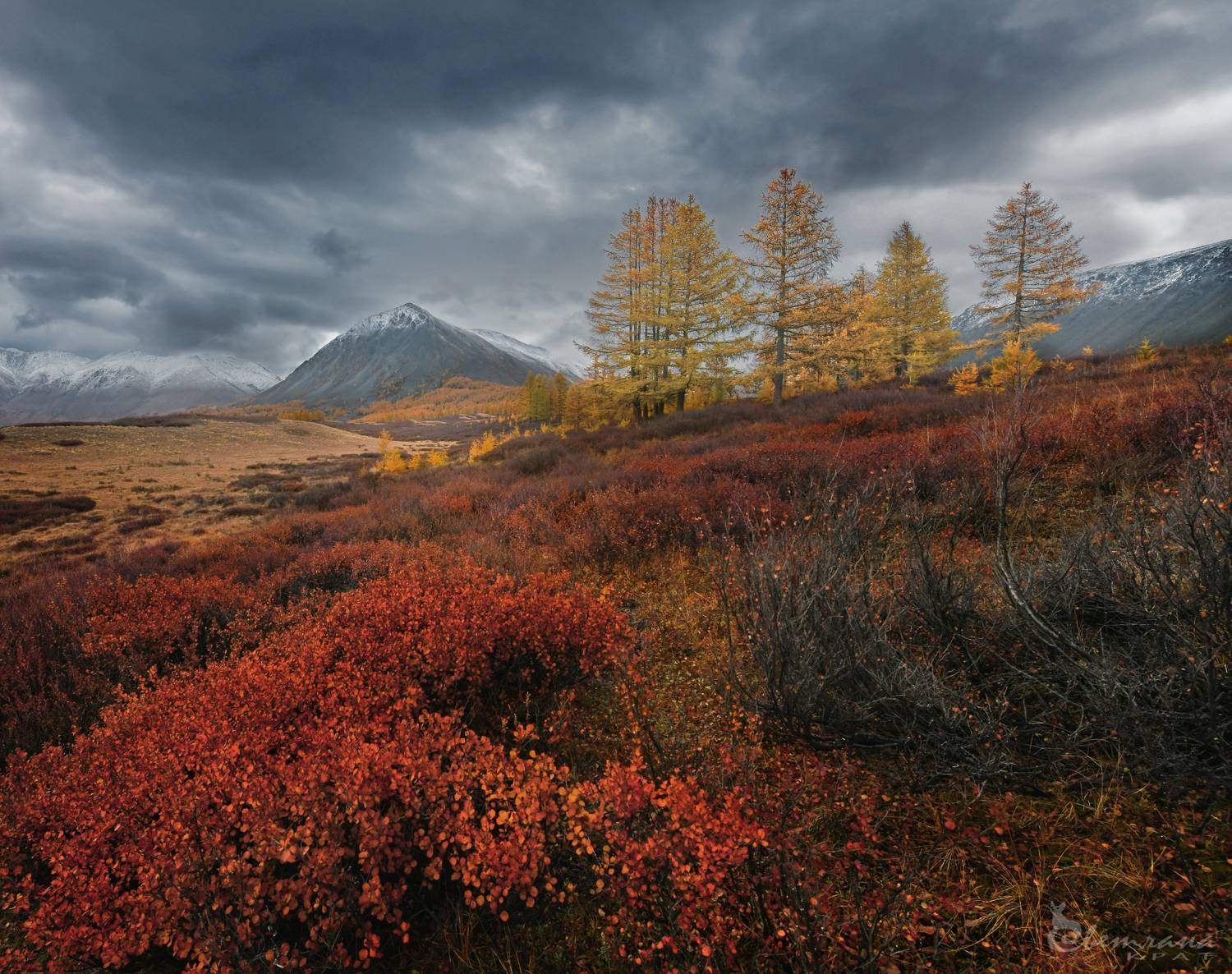 , Светлана Крат