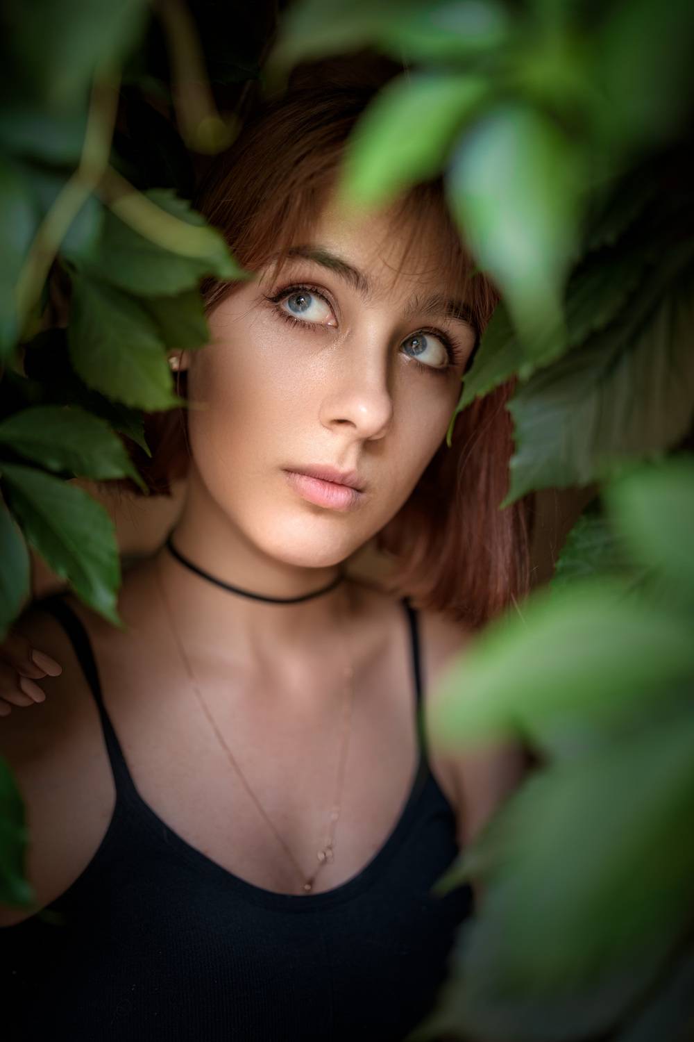 , Алексей Вольтов