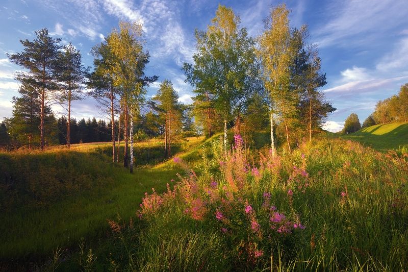 Мысли о лете фото превью