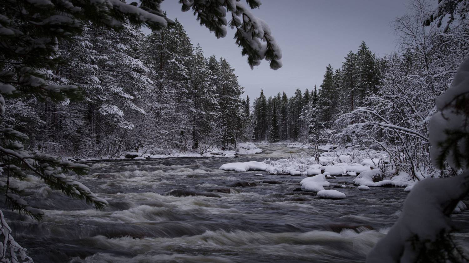 , Закаляпин Денис