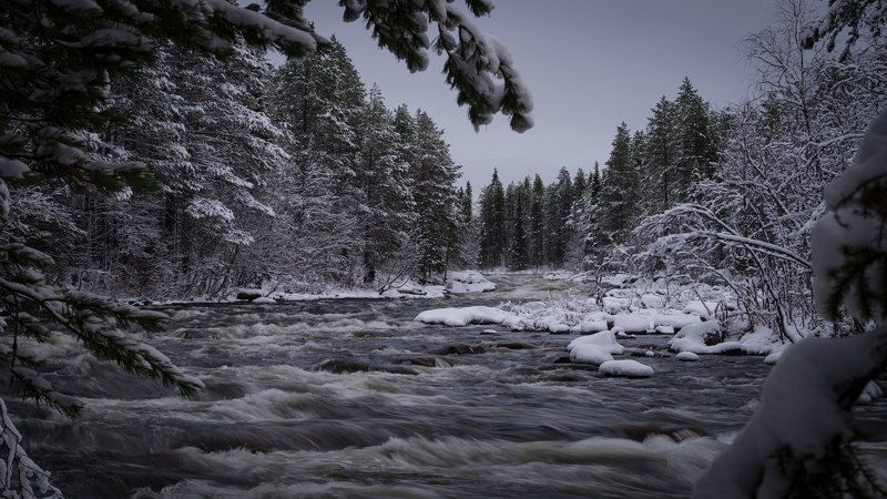 Колвица фото превью