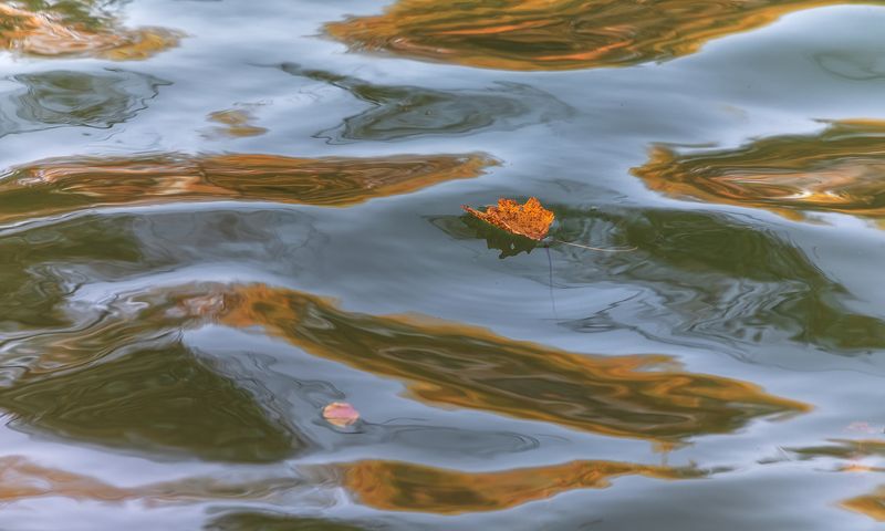 На волне уходящей осени фото превью