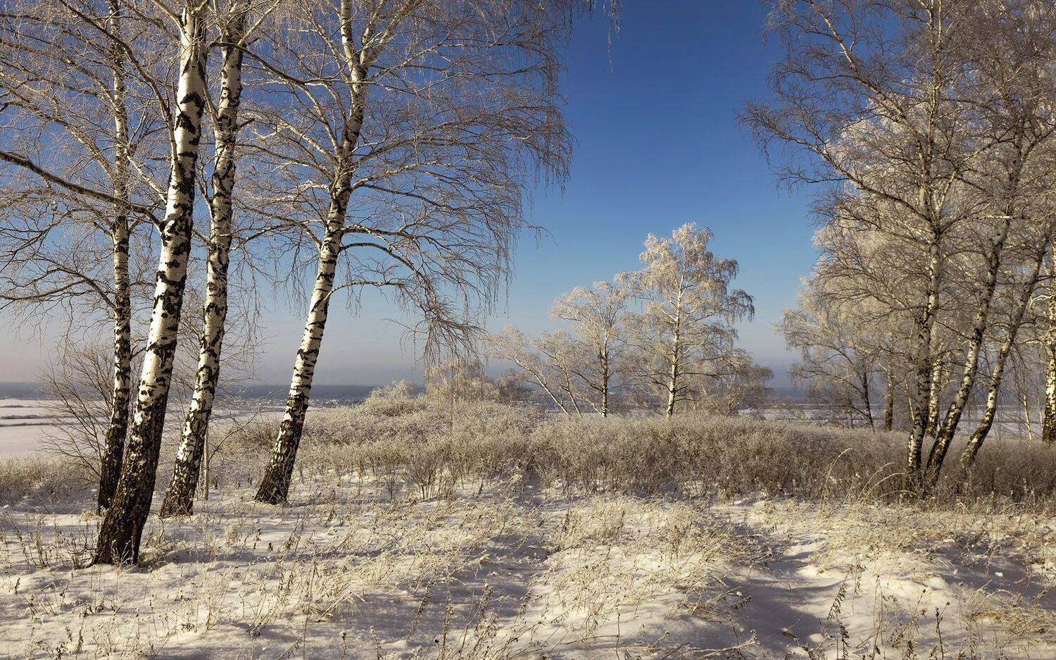 , Алексей Хахлов