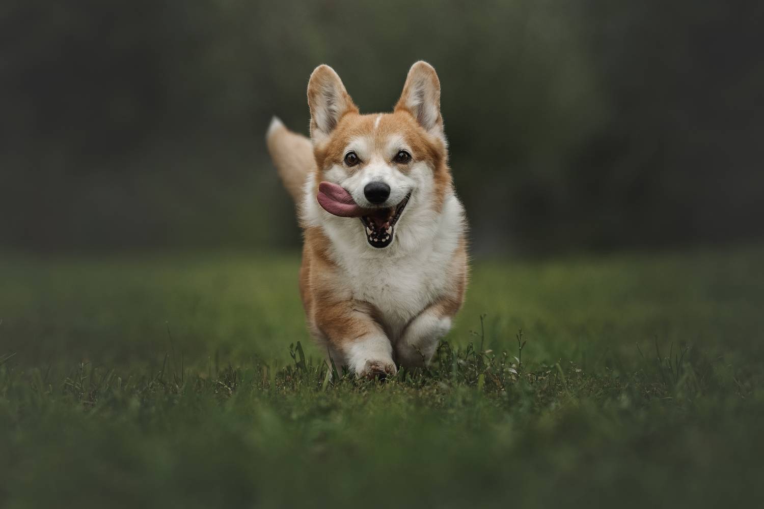 , Ирина Мороз