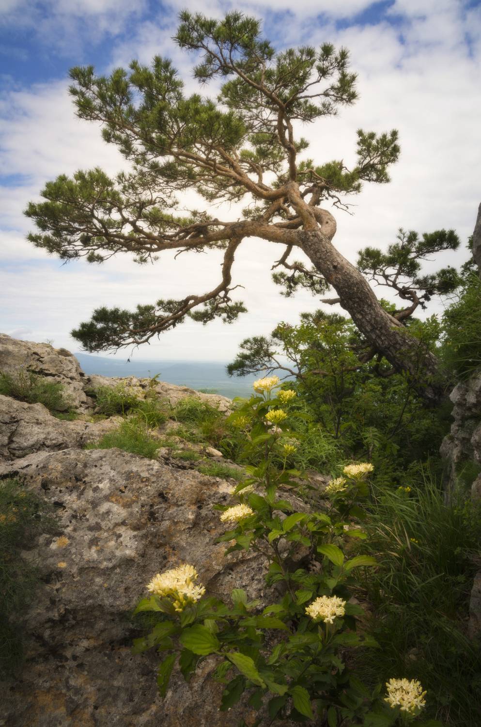 , Антон Литвин