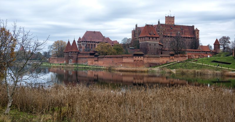 *** фото превью