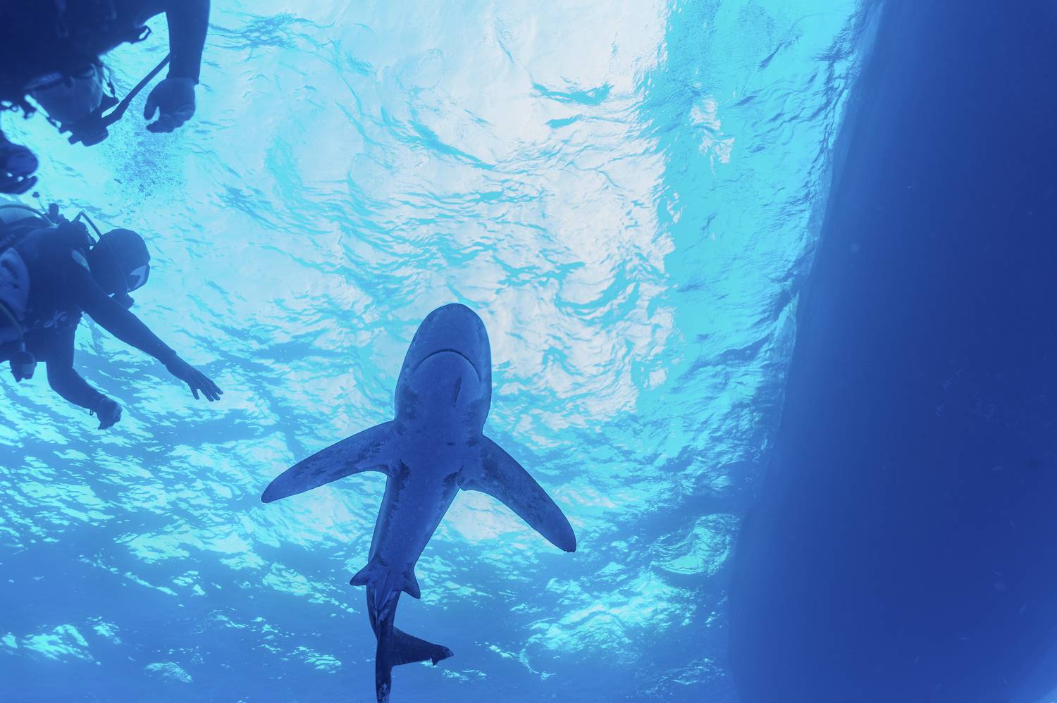 , Валерий Одинцов