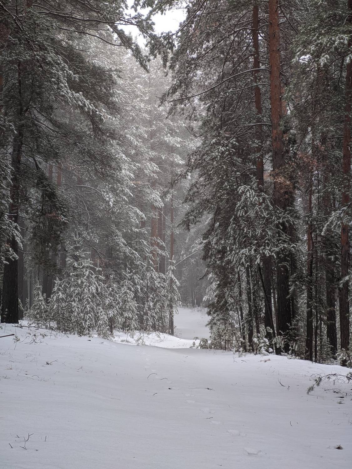 , Кузнецов Дмитрий