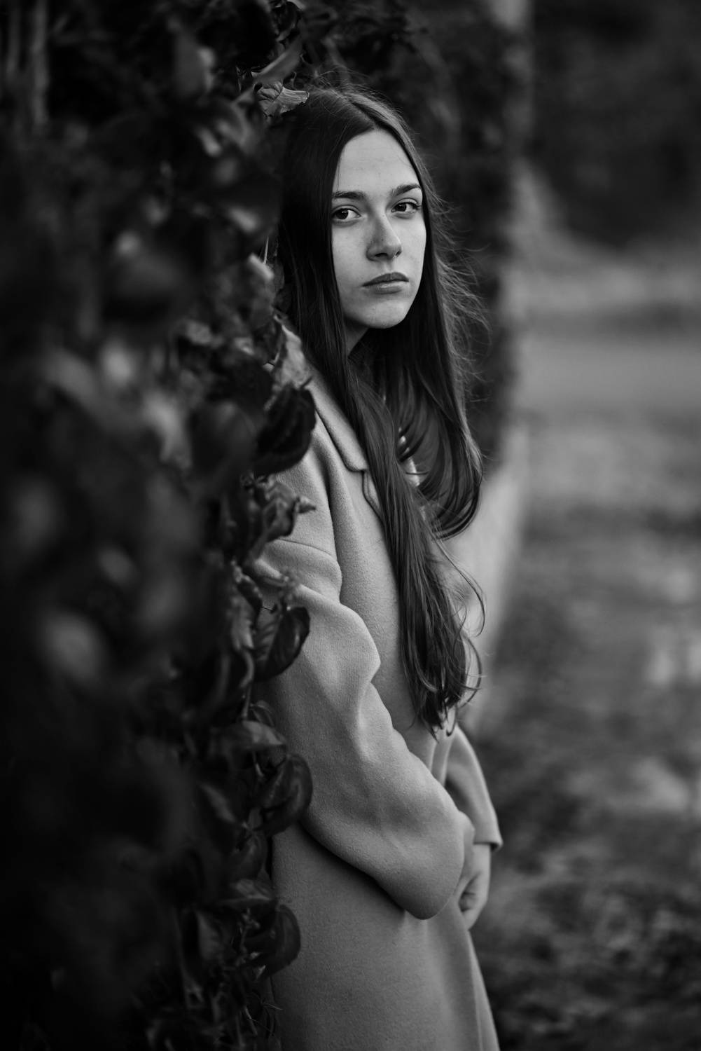 , Герчев Николай