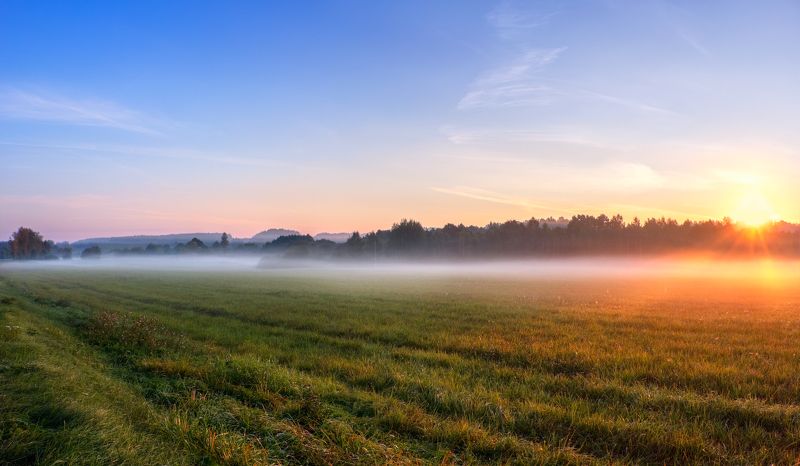 рассвет, поле, туман, Панорама рассвета фото превью