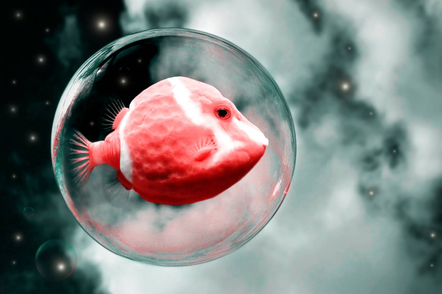 creative, креатив, манипуляция, концепция, фантазия, полет, цифровое, искусство, digital, art, fly, flight, fantasy, Дмитрий Салтыков