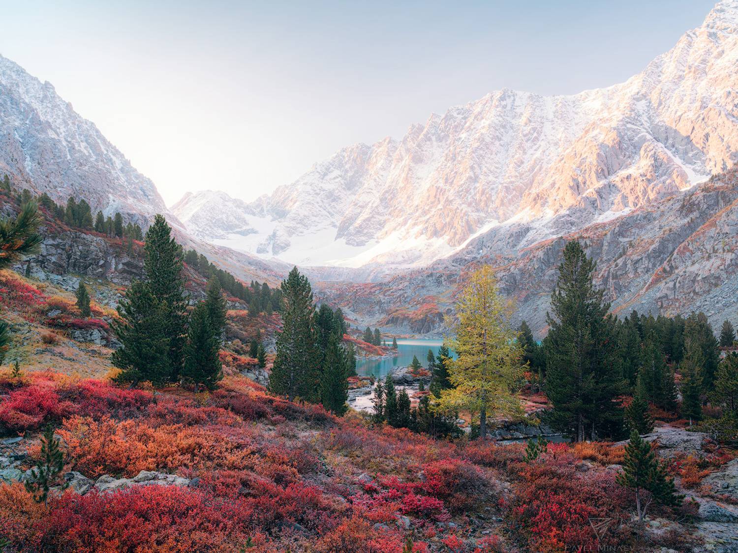 , Минаев Павел