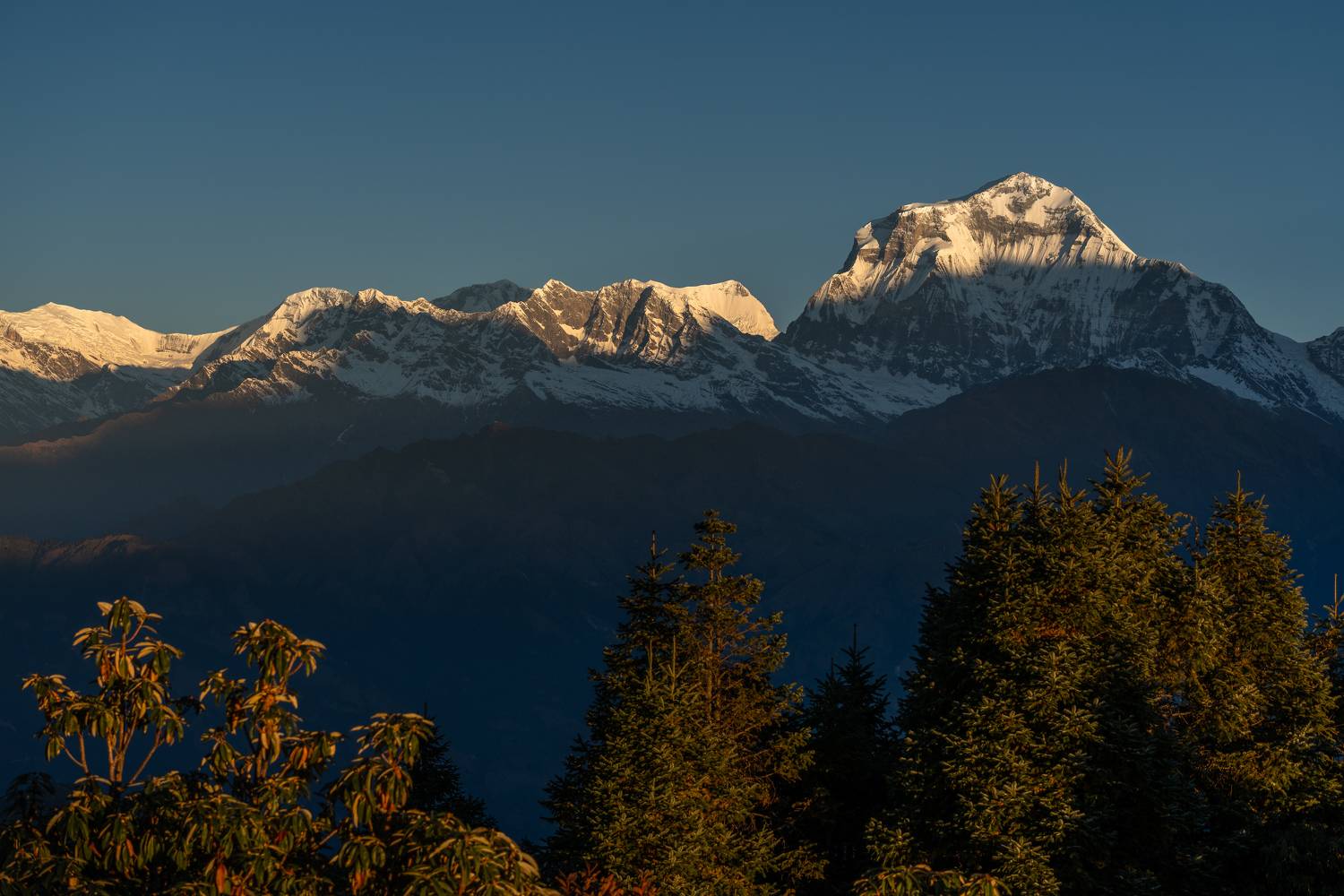 непал, гималаи, восход, горы, дхаулагири, nepal, himalaya, sunrise, mountains, dhaulagiri, Баландин Дмитрий