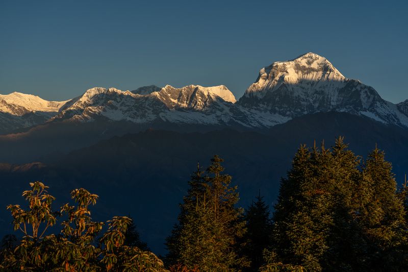 непал, гималаи, восход, горы, дхаулагири, nepal, himalaya, sunrise, mountains, dhaulagiri Дхаулагири (8167м) в рассветных лучах фото превью