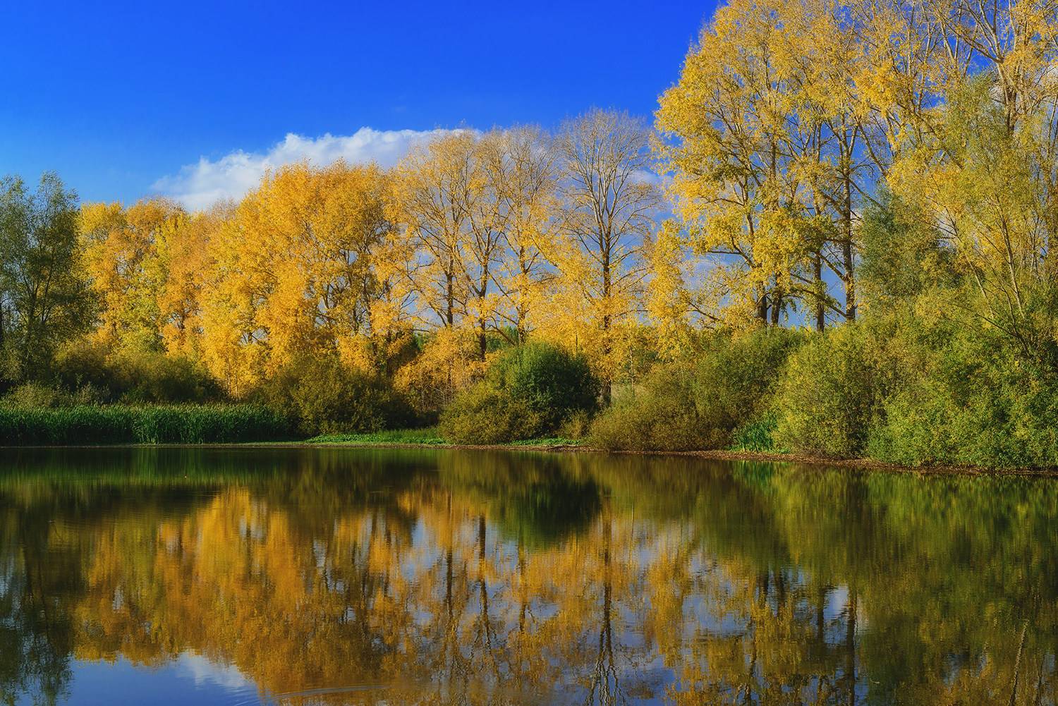 осень провинция озеро, Владислав Никишин