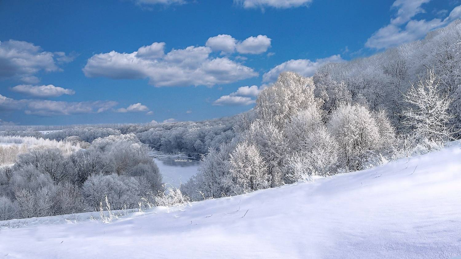 зима, иней, река быстрая сосна, ливны, шатилова гора,, Николай Бологов
