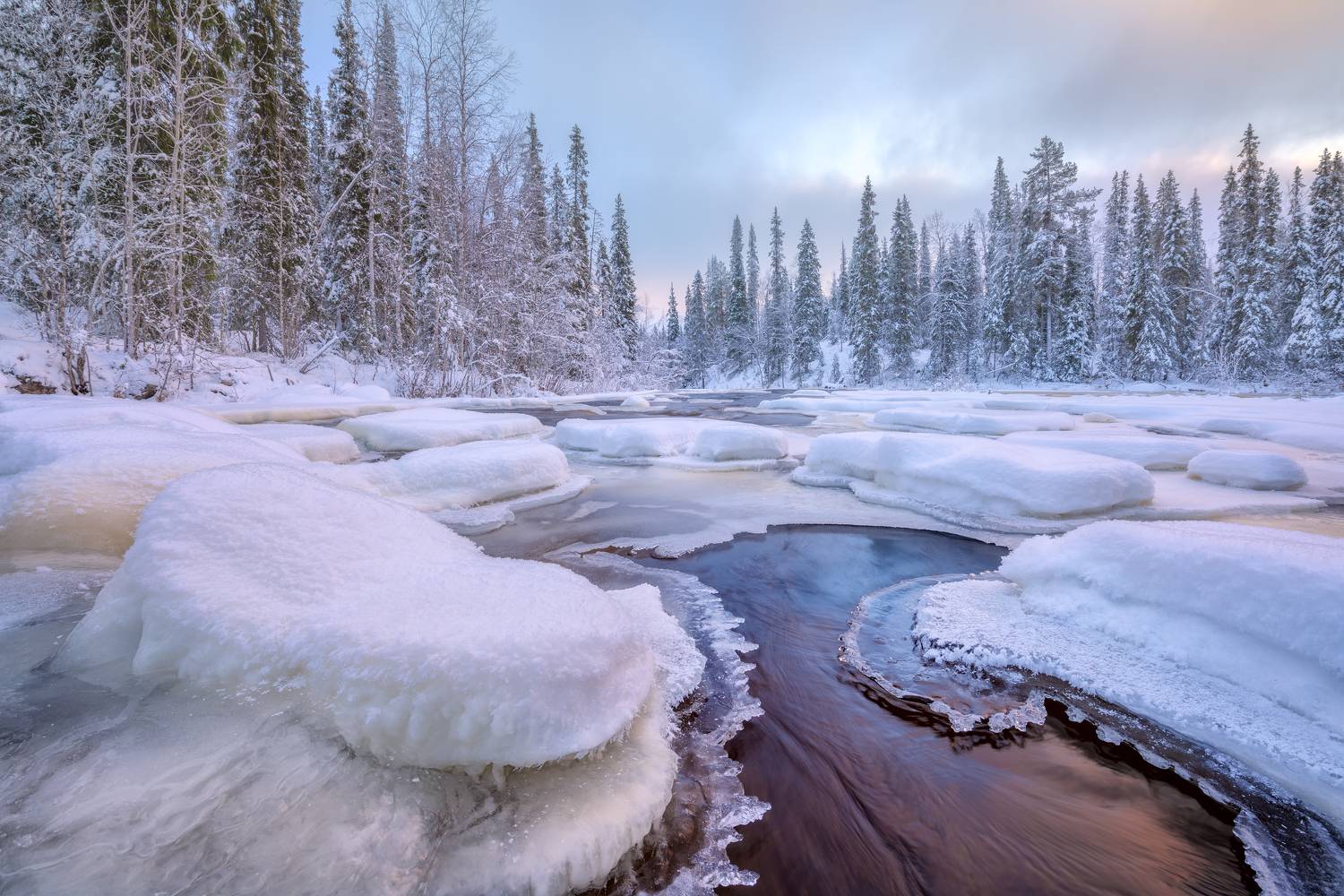 , Максим Евдокимов