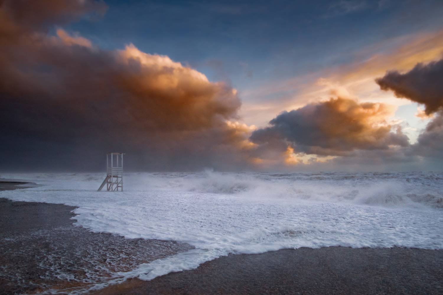 , Кривцов Андрей