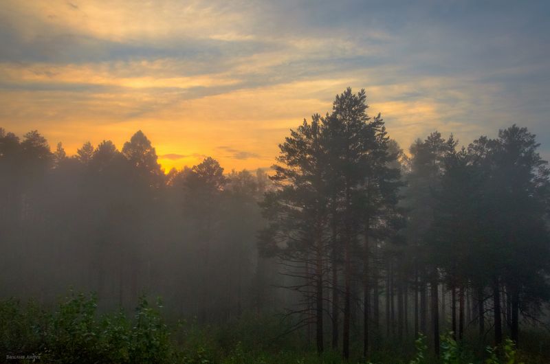 вечер, закат, природа, иркутская область Вечер в лесу фото превью