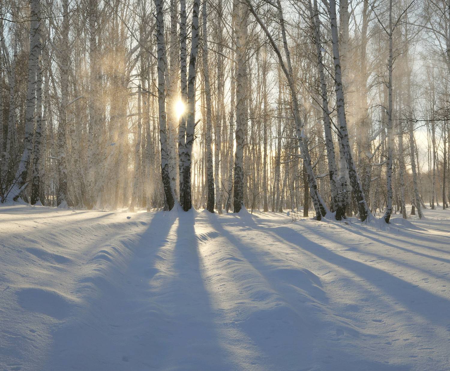 , Шустиков Дмитрий