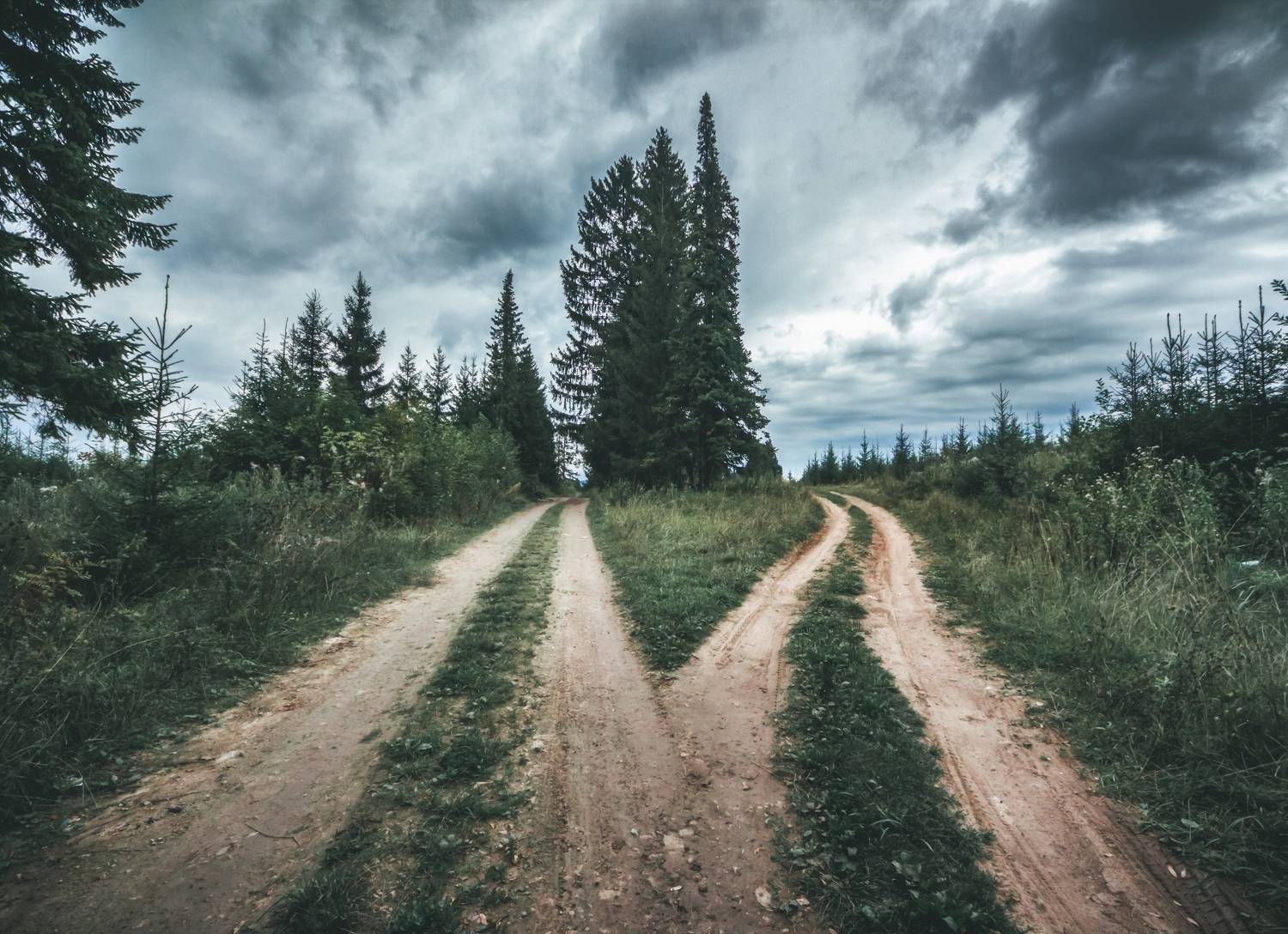 , Котов Андрей