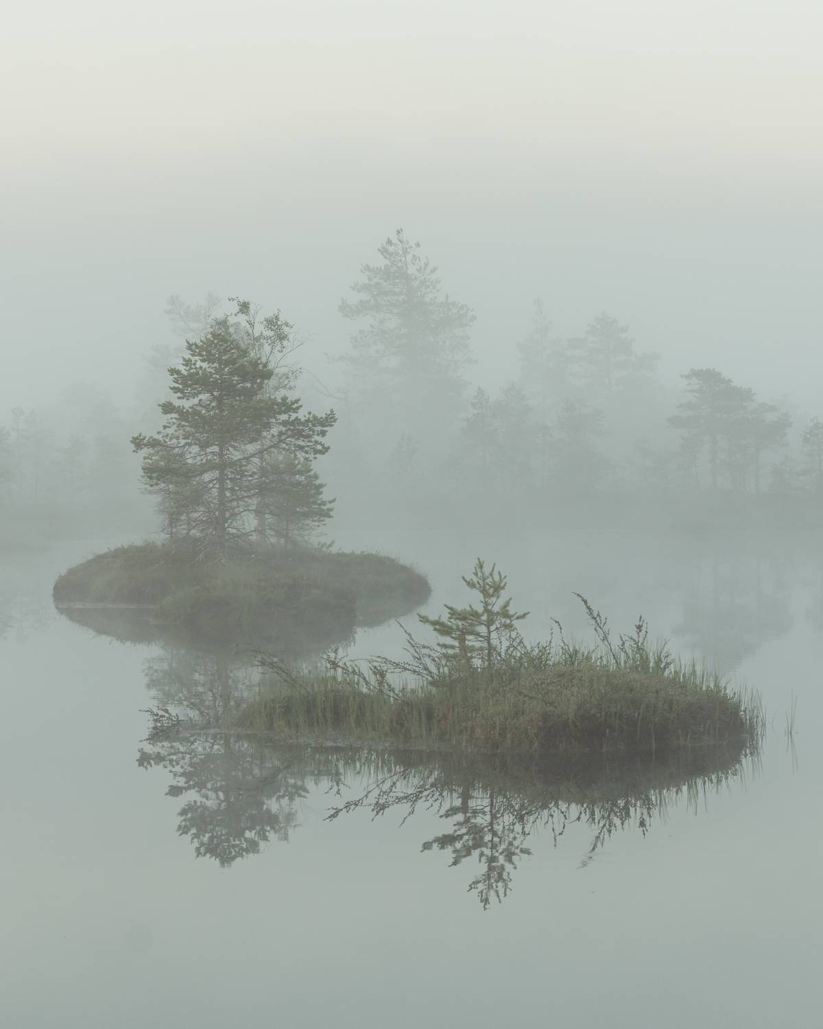 #foggy, #foggymorning, #earlymorning, #morningmotivation, #foggysunrise, #visitestonia, #bogs, #eestirabad, #terviserajad, #ilusadeestipaigad, #beautifuldestinations, #beautifulplaces, #placestogo, #moments, #destinationearth, #reflections, #reflection_sh, Nikolai Mordan
