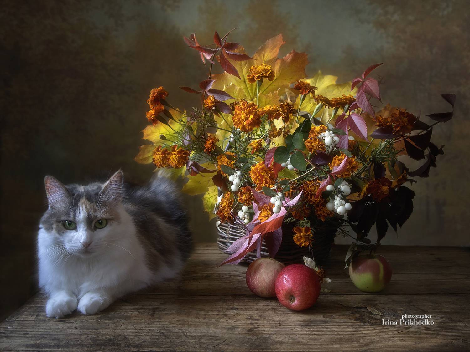 постановочное фото, котонатюрморт, кошки, домашние животные, осенний букет, натюрморт, Приходько Ирина