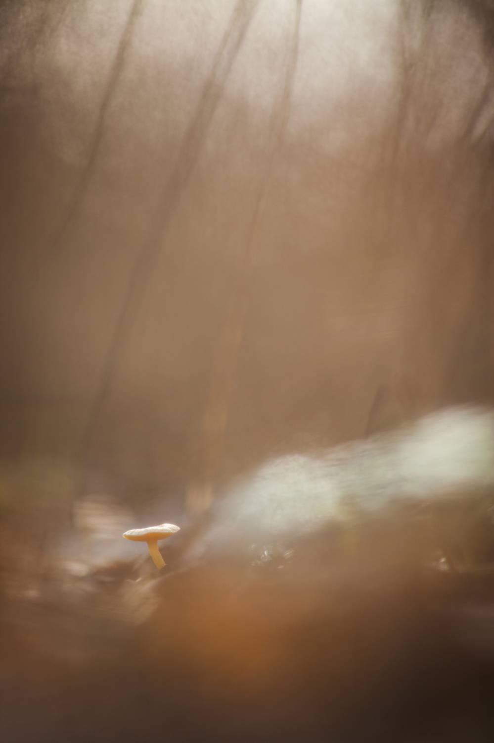 , Викулов Николай